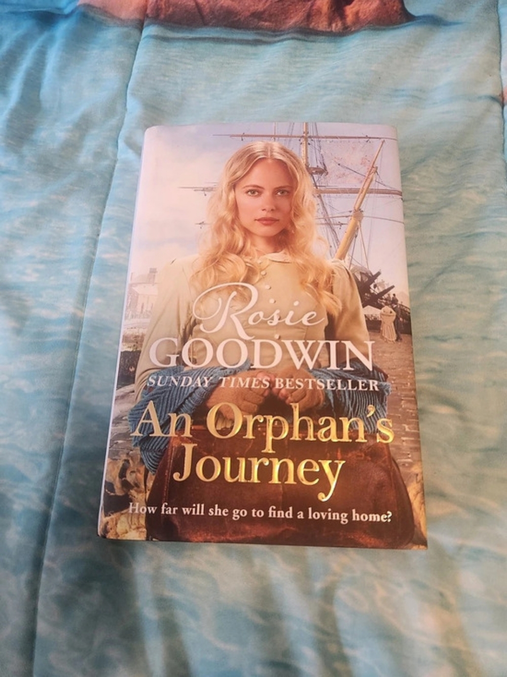 Rosie Goodwin An Orphan's Journey Hardcover Fiction Novel 2021